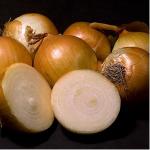 Seminte Ceapa GLOBE YELLOW DANVERS